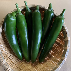 淡路島のセラーノ❗️と淡路島極熟玉葱入り　セラーノ・デル・ソル