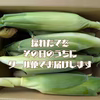 極甘！熊本県産スーパースイートコーン　風袋込５kg　約１０〜１４本