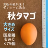 食欲の秋到来‼　ボリューム満点　秋タマゴ×75個‼