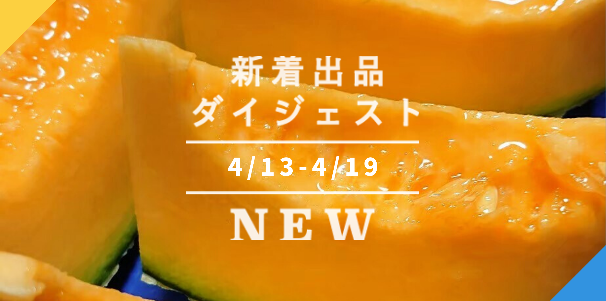 バックナンバー]春から夏への3選→初もの熊本メロン🍈栽培用きくらげ菌