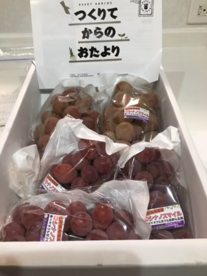 みんなの投稿の画像