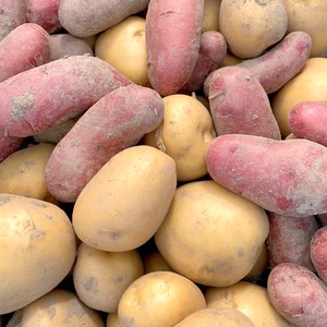 じゃがいもばっかりな美農然セット