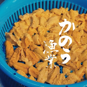 【北海道民でさえ行列を作る幻ウニ】積丹ブルーで育った黒いダイヤ！天然生ウニ 