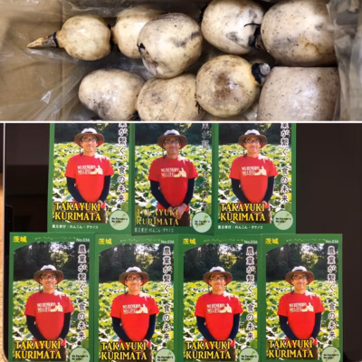 みんなの投稿の画像