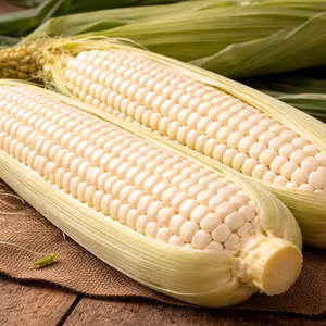 南紀白浜　潮風ホワイト