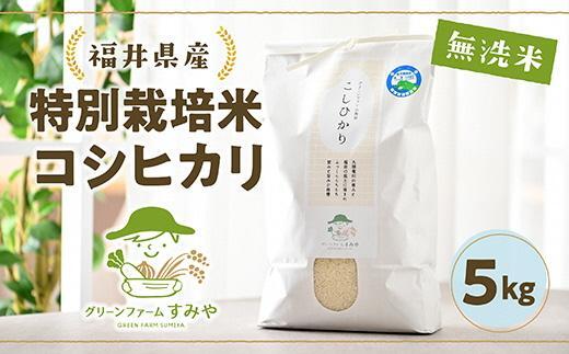 令和5年産】毎日おいしく特別栽培コシヒカリ無洗米 ｜米・穀類の商品