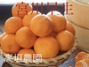 本場和歌山県産、高糖度！温州みかん【宮川早生】5k