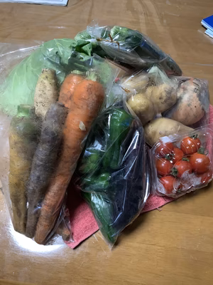 みんなの投稿の画像