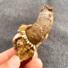 【晩酌のお供セット】日戻りケンケン鰹藁燻しと浜名湖産天然カメノテ塩茹でセット