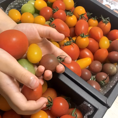 みんなの投稿の画像