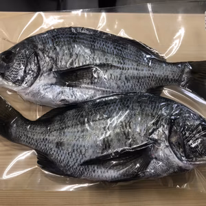 鮮魚バラエティセット