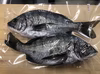 鮮魚バラエティセット