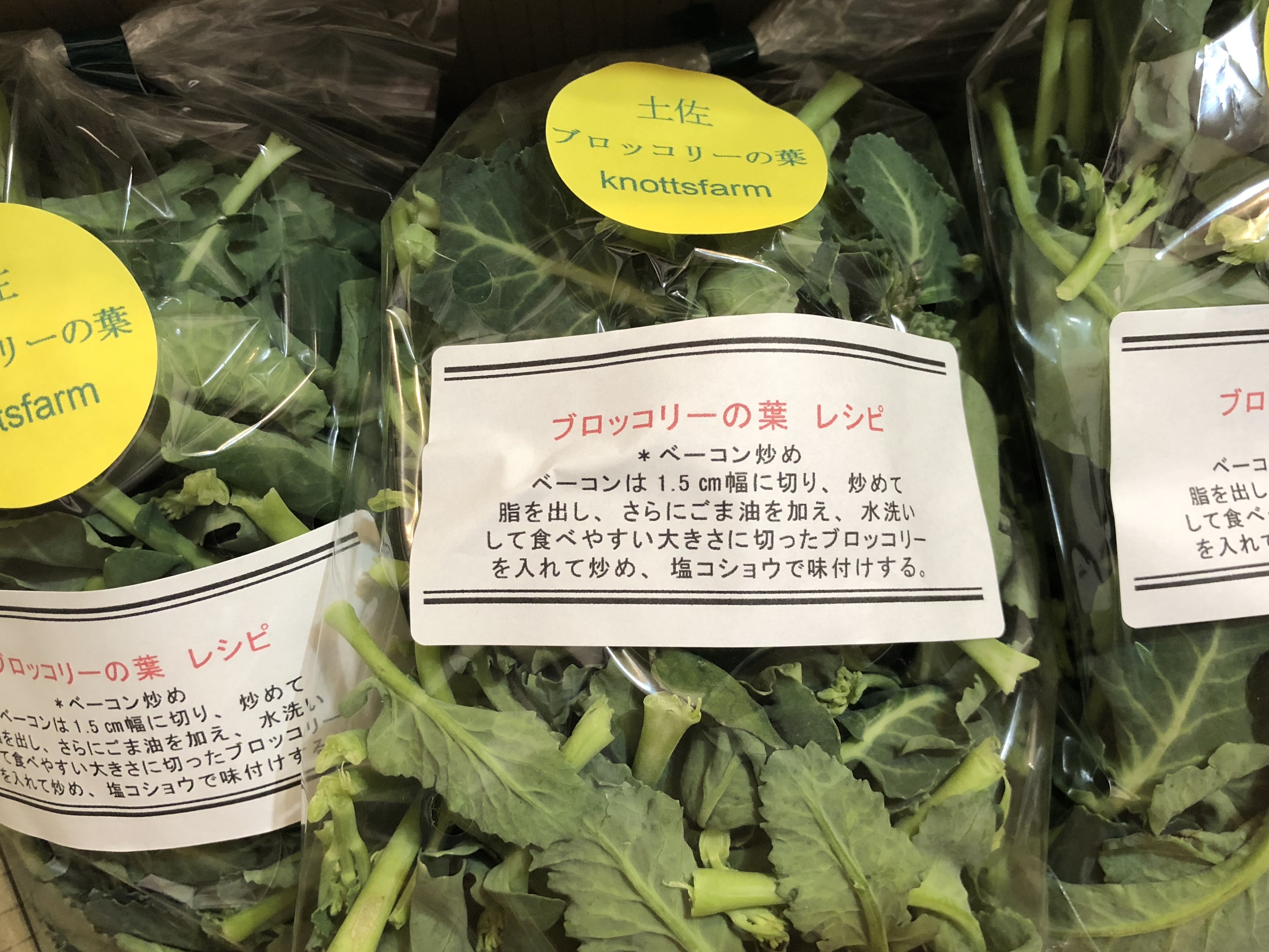 朝採り野菜 茎ブロッコリーの葉 600g 無農薬 農家漁師から産地直送の通販 ポケットマルシェ