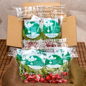 【5玉10袋入】食卓に彩りを♪ラディッシュMサイズ