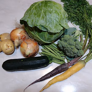 昔ながらの野菜セット（農薬・除草剤・化学肥料不使用）