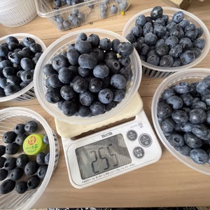 ブルベリー　有機JAS 農薬は使ってません