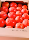 【お買い得‼︎】ちょいキズトマト（品種:かれん）