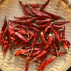 唐辛子 鷹の爪20g 農薬・化学肥料不使用