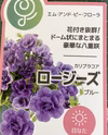薔薇咲★カリブラコア★ロージーズ3色大鉢仕立て3鉢より