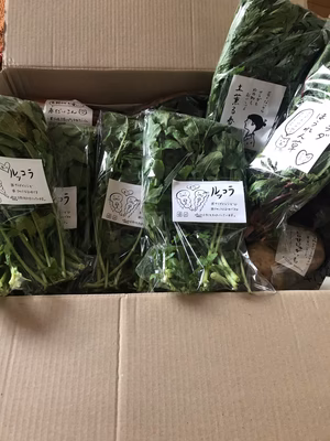 みんなの投稿の画像