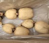 新れんこん　お試し 1kg Sサイズ　茨城県霞ヶ浦産
