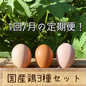 やっぱり国産鶏！【名古屋コーチン&もみじ&さくら】3種セット36個入り‼︎