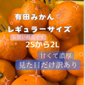 有田みかん　みかん　訳あり品 サイズ2Sから2L 見た目だけ悪い