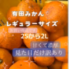 有田みかん　みかん　訳あり品  サイズ2Sから2L 見た目だけ悪い