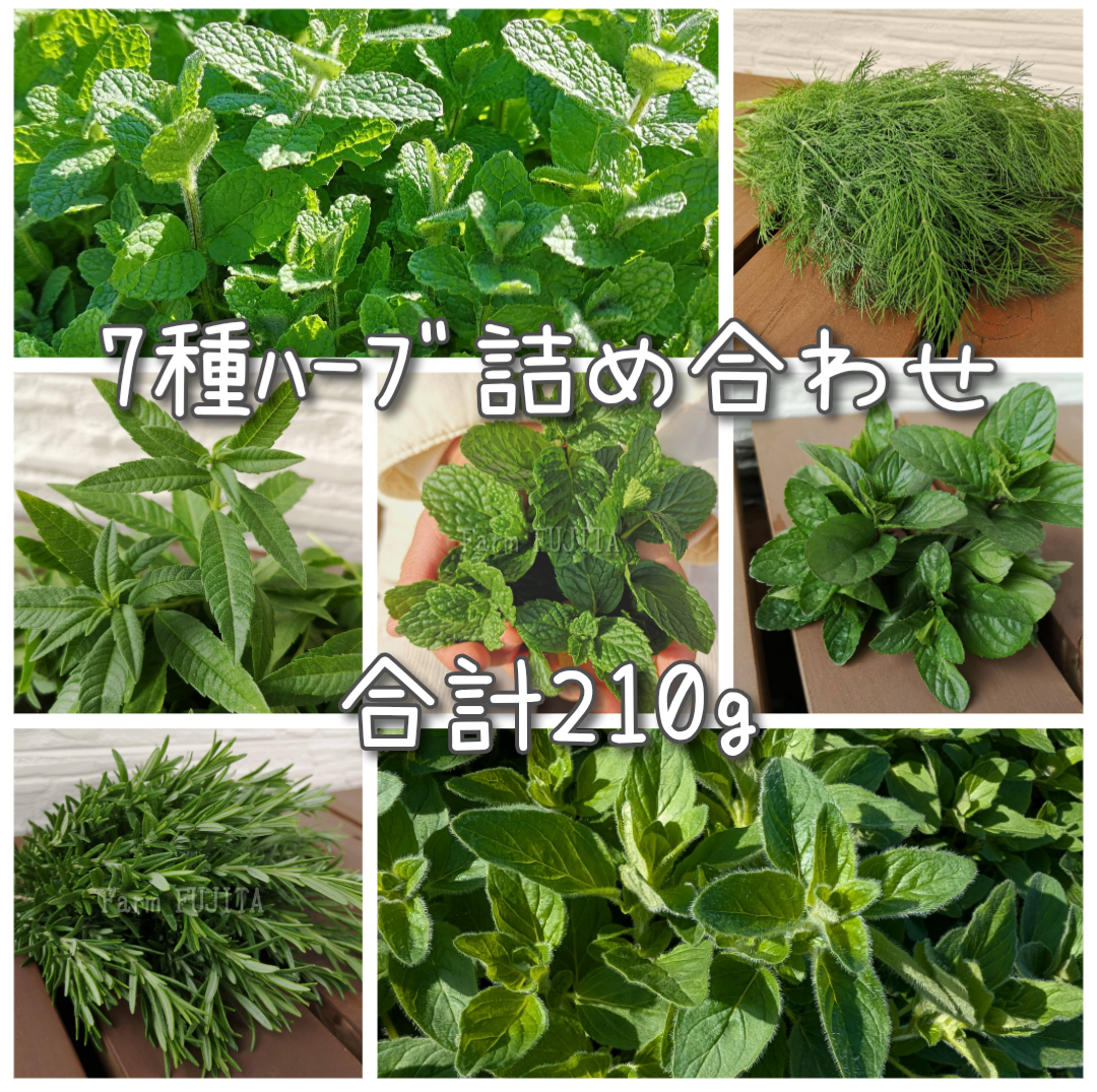 [摘みたてお届け]7種のハーブをお試し☆約210g [冷蔵配送]210g