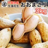 千葉県産おおまさり3kg 食べ応えバツグンのジャンボ落花生！甘くて大粒