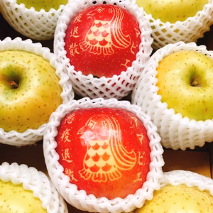 【数量限定】イラスト入りふじりんご (アマビエ)王林セット 3kg箱入り