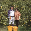 上神洋司