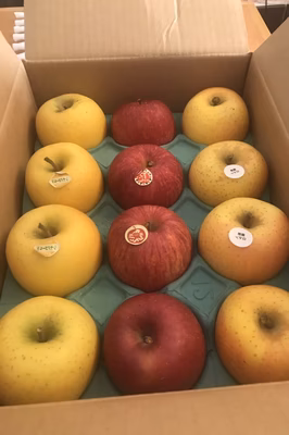 みんなの投稿の画像