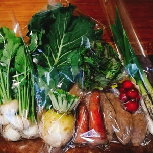 自然栽培野菜(8品)と煎り落花生のセット【農薬・肥料不使用】