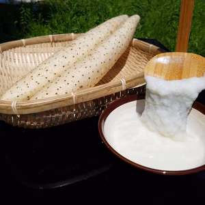 【春掘り】シャキシャキ長芋 家庭用カット済み　