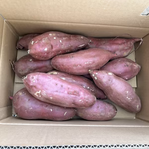 さつまいも食べ比べ！3種