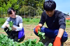 これぞ農家の「ごちそう」！農家民泊～大人の食育コース～