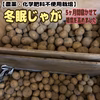 ※冬眠じゃが【農薬・化学肥料不使用栽培】2024年・青森県産 じゃがいも