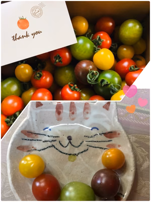 みんなの投稿の画像