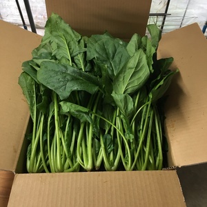 子供も大好き！食べやすいほうれん草