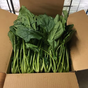 子供も大好き！食べやすいほうれん草