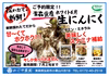 青森県産！ホワイト６片「白玉王」の掘りたて生にんにく【６月後半頃から発送】