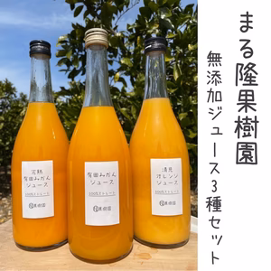 【３種】早生みかん、越冬完熟みかん、清見オレンジ１００％無添加ジュースセット
