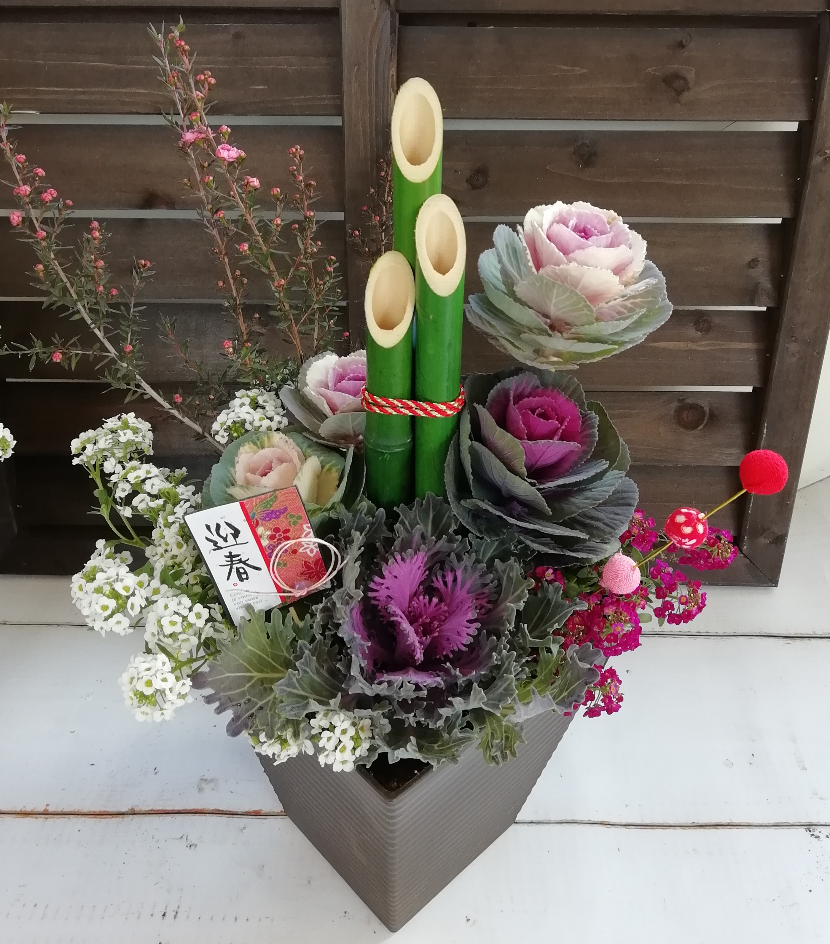 兵庫葉牡丹 洋風門松薔薇のような葉牡丹の寄せ植え スクエアブラウン鉢 農家漁師から産地直送の通販 ポケットマルシェ