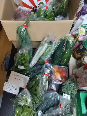 みんなの投稿の画像