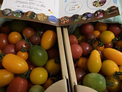 みんなの投稿の画像