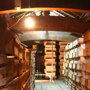 紀州下津の蔵出しみかん｜見た目訳あり・味はA品級 