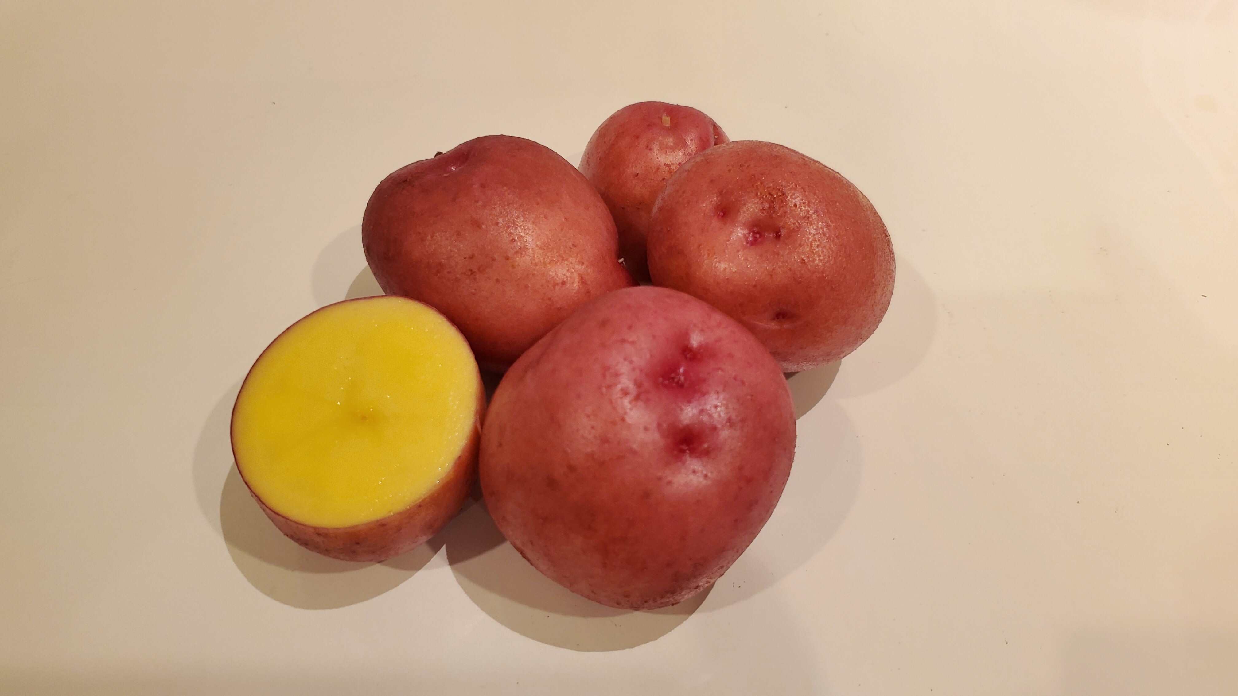 赤いじゃがいも4種食べ比べ レッドムーン ノーザンルビー アンデスレッド タワ 農家漁師から産地直送の通販 ポケットマルシェ