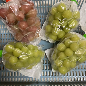 【訳有り】シャイン&クイーンルージュ®詰合せ　規格外品　1.5kg