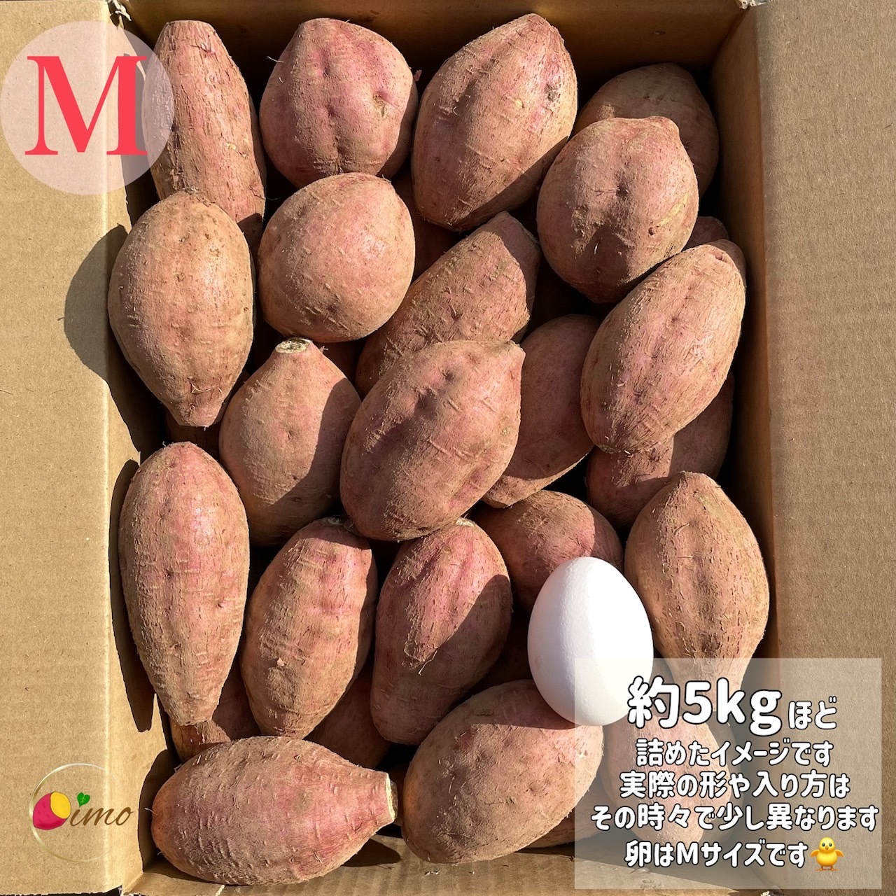 絶品】種子島産 安納芋 Mサイズ｜aimo農園｜さつまいもの商品詳細